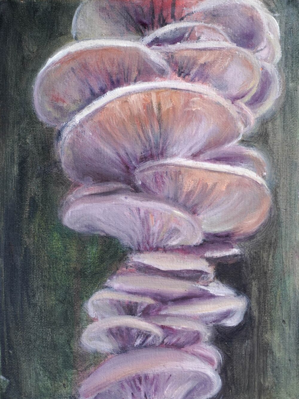 Ali Olio | Fine Art from the Alps | Kunst aus den Alpen | abstract mushroom pink white green yellow purple | abstrakte Pilze Schwammerl pink grün gelb weiß violett