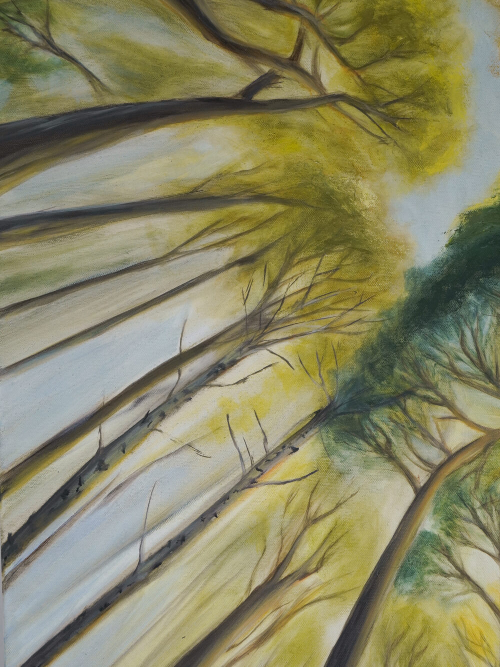 Ölgemälde Wald, Blick nach oben, Blätterdach Kunst, Naturmalerei, Sonnenlicht im Wald, spirituelle Kunst, achtsame Wandbilder, moderne Landschaftsmalerei, Waldblick Leinwandbild, Naturkunst handgemalt, Kunst für Entspannung und Ruhe, Ali Olio Art, Alexandra Isabel Hörhager Kunst, Tiroler Künstlerin
