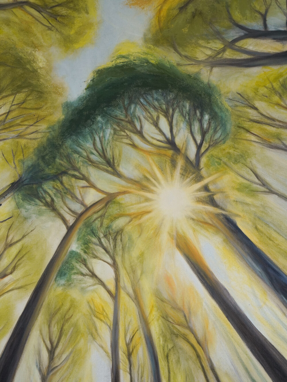 Ölgemälde Wald, Blick nach oben, Blätterdach Kunst, Naturmalerei, Sonnenlicht im Wald, spirituelle Kunst, achtsame Wandbilder, moderne Landschaftsmalerei, Waldblick Leinwandbild, Naturkunst handgemalt, Kunst für Entspannung und Ruhe, Ali Olio Art, Alexandra Isabel Hörhager Kunst, Tiroler Künstlerin